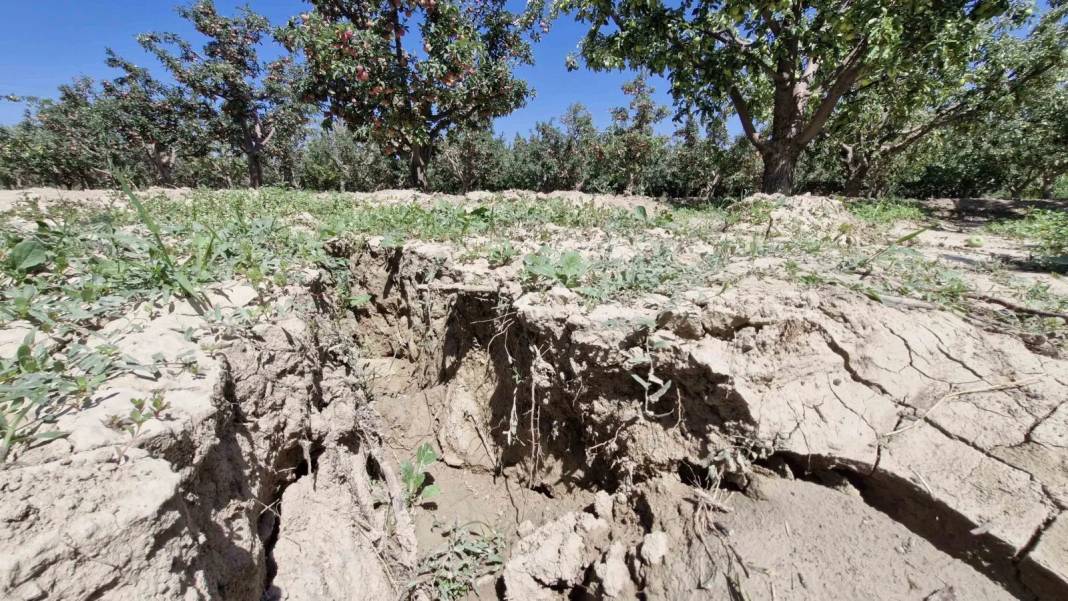 Elma bahçesine giren adam gördükleri karşında şok oldu! 100 metre uzunlukta, 1 metre derinlikte... Gittikçe büyüyor 2